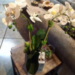 faux-orchid-the-find-reno