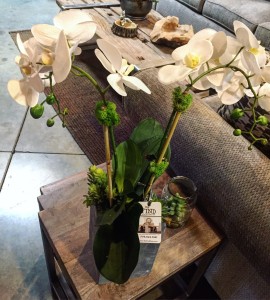 faux-orchid-the-find-reno